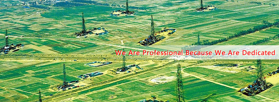 We Are Professional Because We Are Dedicated